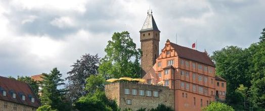 Burg Hirschhorn im Neckartal